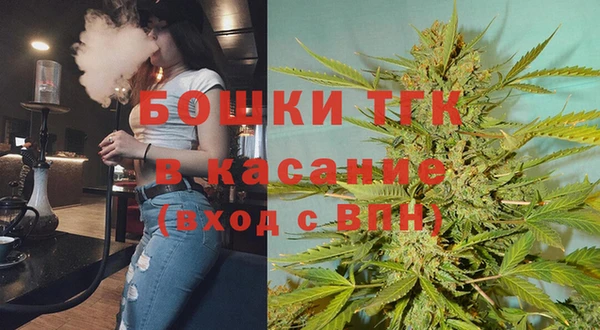 сатива Аркадак