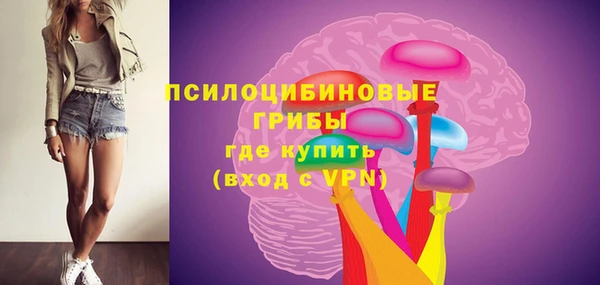 сатива Аркадак