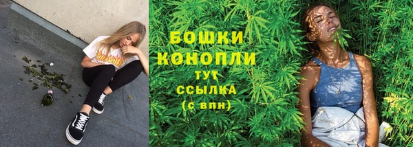 сатива Аркадак