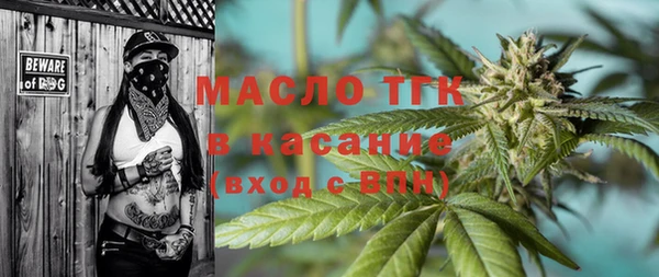 сатива Аркадак