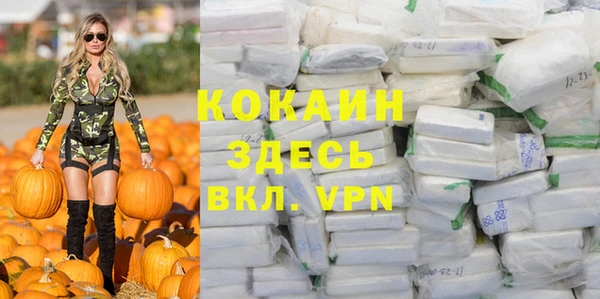 прущие грибы Армянск
