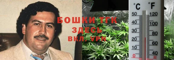 прущие грибы Армянск