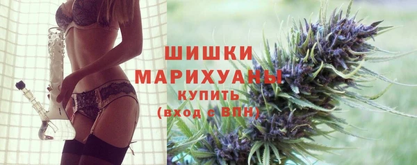 сатива Аркадак