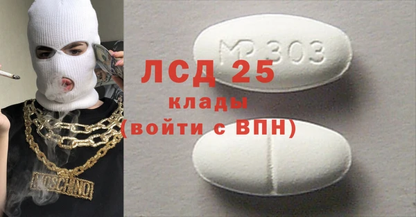 прущие грибы Армянск