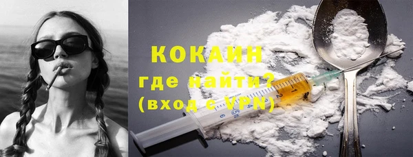 прущие грибы Армянск